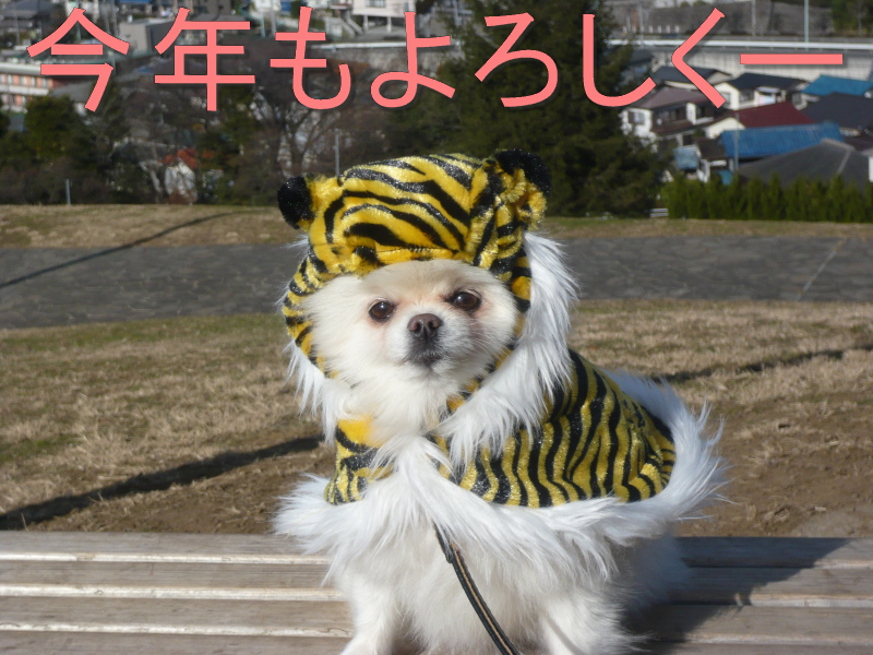 c0187898_14595321.jpg