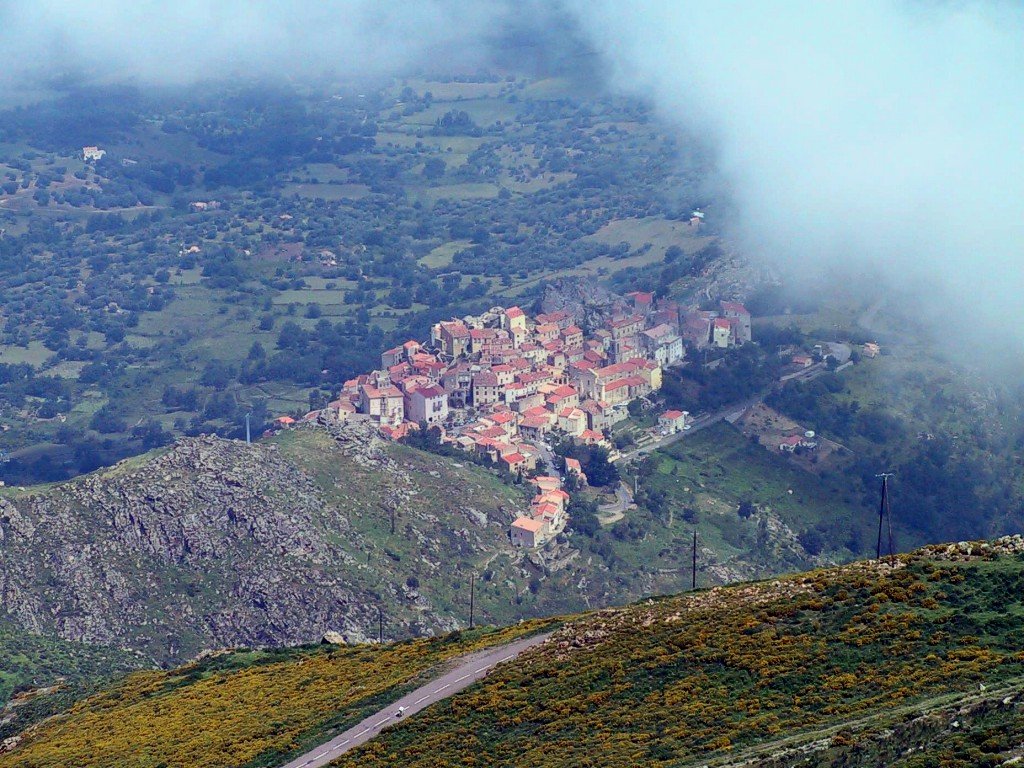 c0072801_15122875.jpg