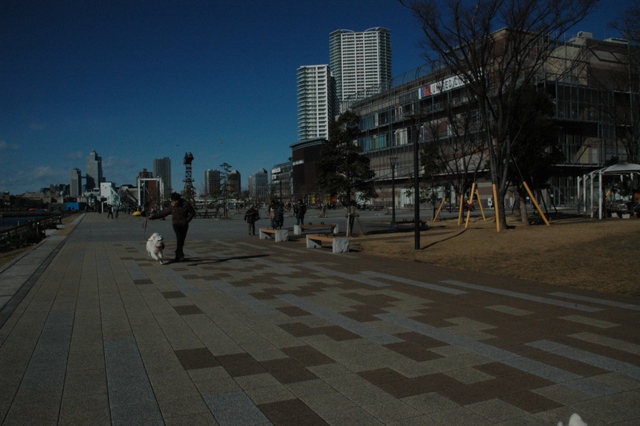 e0018604_23141773.jpg