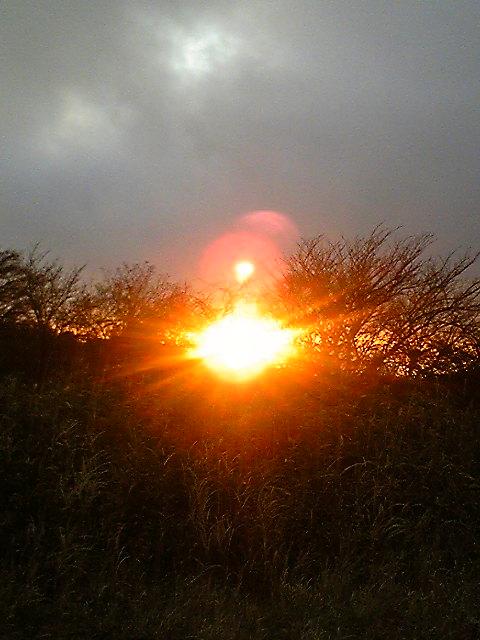 e0015108_1414286.jpg