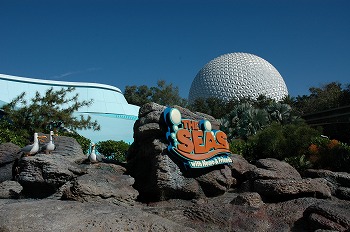 b0171411_16144291.jpg