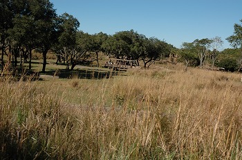 b0171411_1622485.jpg