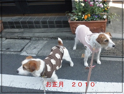 c0157412_2251355.jpg