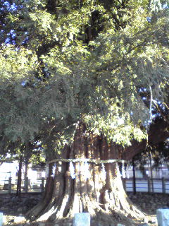d0085018_17492244.jpg