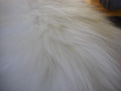 c0005619_16322183.jpg