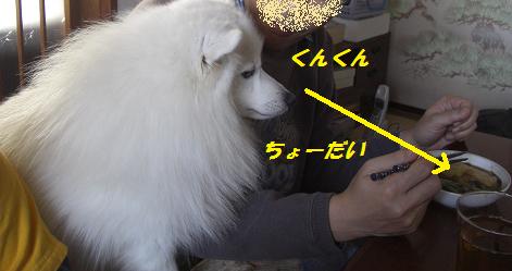 c0005619_16535045.jpg