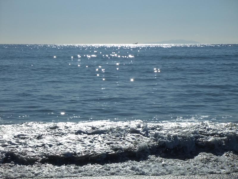 b0046527_20341495.jpg
