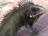 c0168927_21485550.jpg