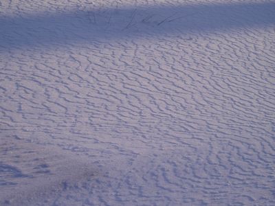 e0101828_1673416.jpg
