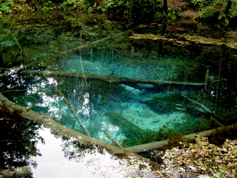 b0172829_22361811.jpg