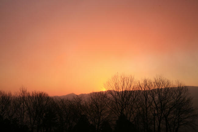 f0017530_19304696.jpg