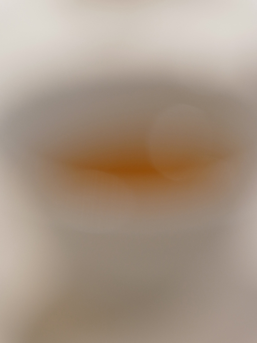 a0049639_11254277.jpg