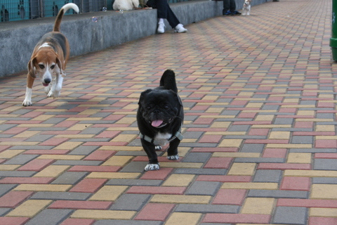 e0018143_1523186.jpg