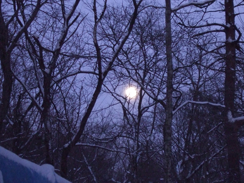 b0045357_1535740.jpg