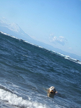 c0097558_12284688.jpg