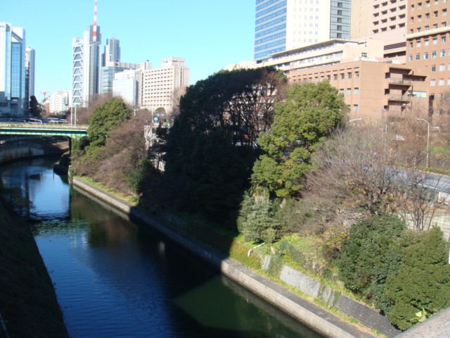 b0061261_20564186.jpg