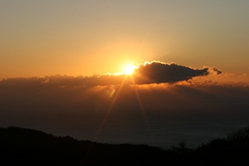 f0082961_16504526.jpg