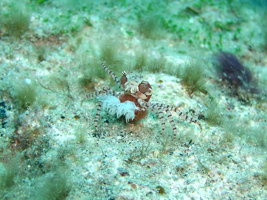 b0062363_21454174.jpg