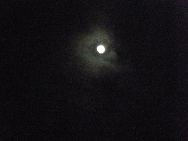 c0180963_22381748.jpg