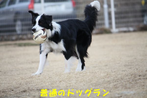 a0100564_23255876.jpg