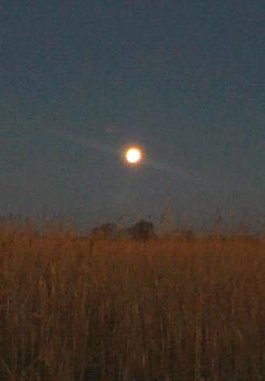 e0118274_17334773.jpg