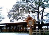 c0212576_1311280.jpg