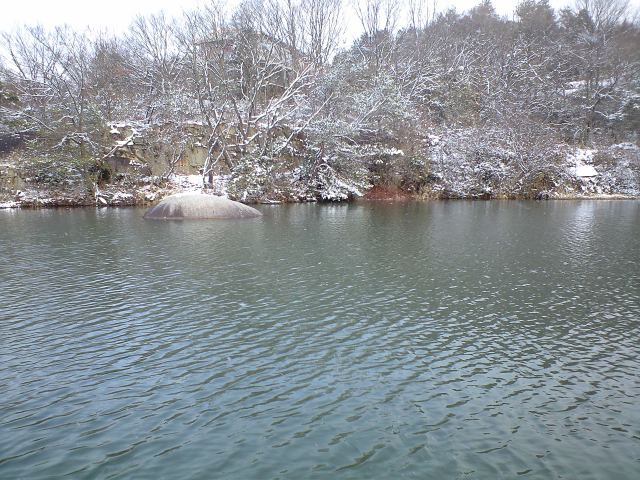 a0093677_18235596.jpg