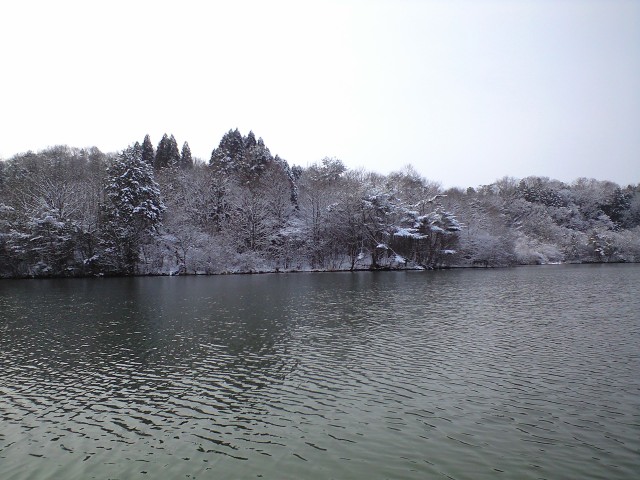 a0093677_1913184.jpg