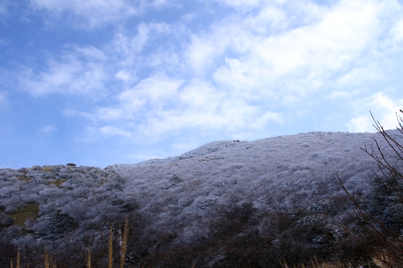 d0126577_2373080.jpg