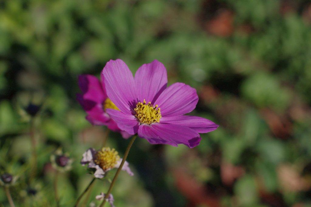b0165778_1314947.jpg