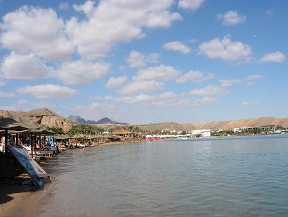 a0066586_626286.jpg
