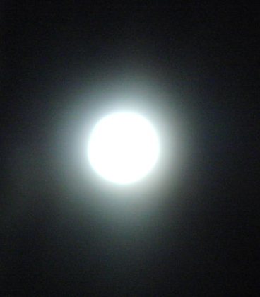 f0207688_1572333.jpg