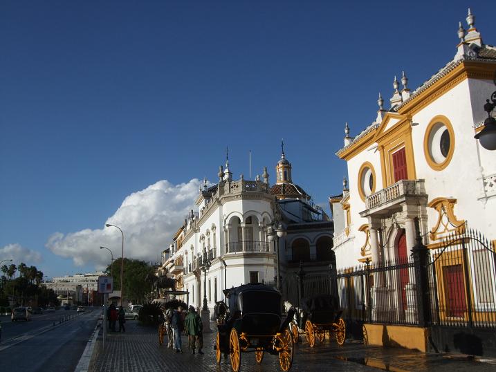 d0144792_553920.jpg
