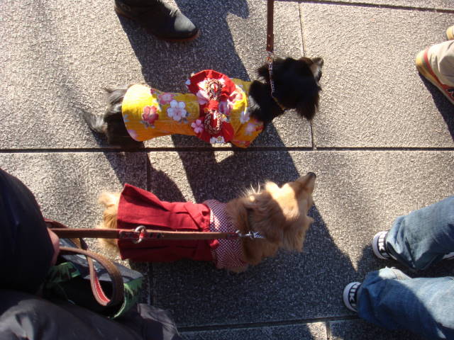 d0098295_0273658.jpg