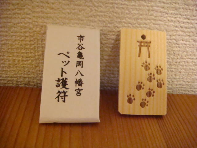 d0098295_0291463.jpg