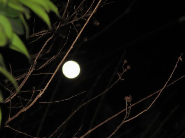 f0137096_0383136.jpg