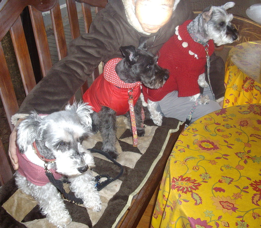 c0138198_18361792.jpg