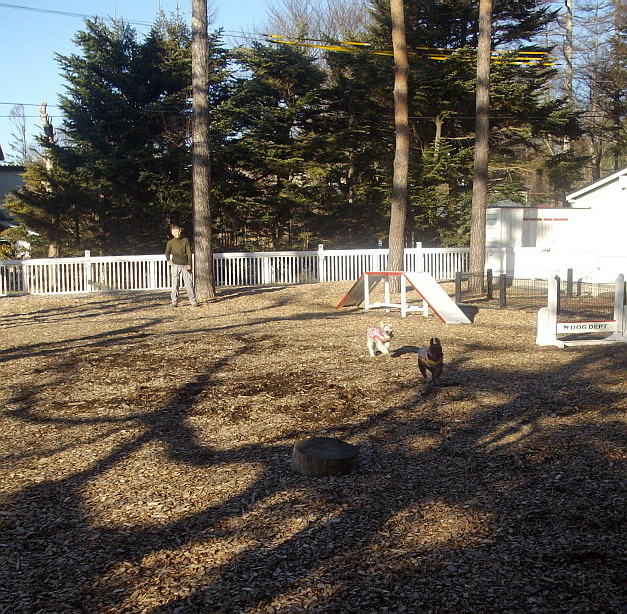 c0138198_1857962.jpg