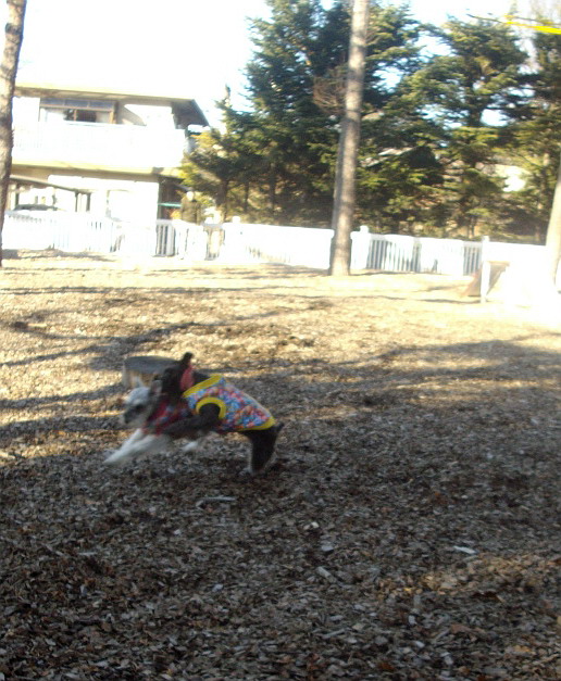 c0138198_18591384.jpg