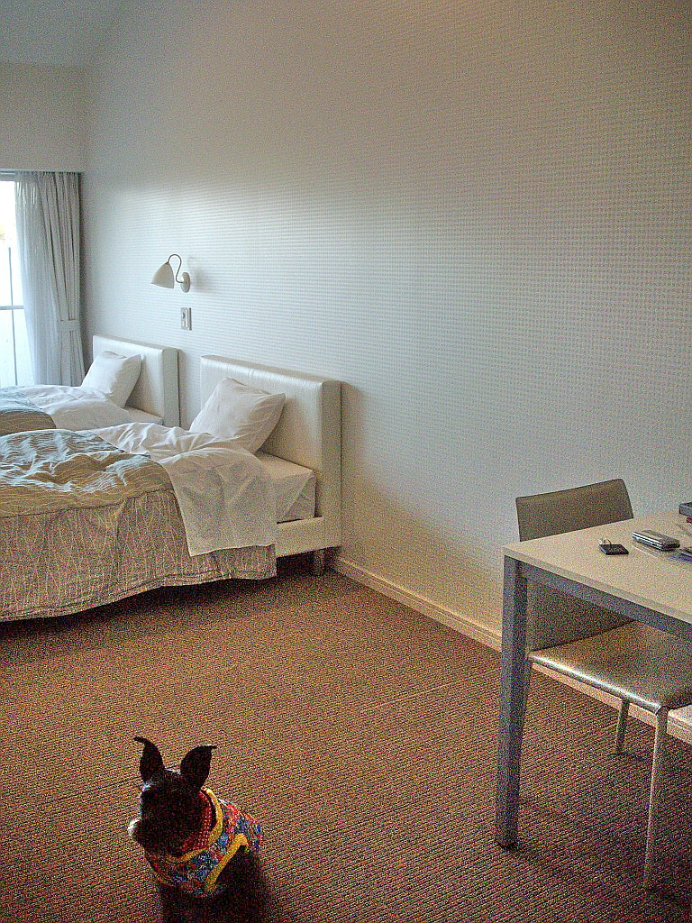 c0138198_1924370.jpg