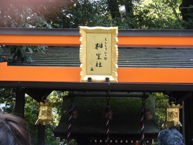 a0050302_6153417.jpg