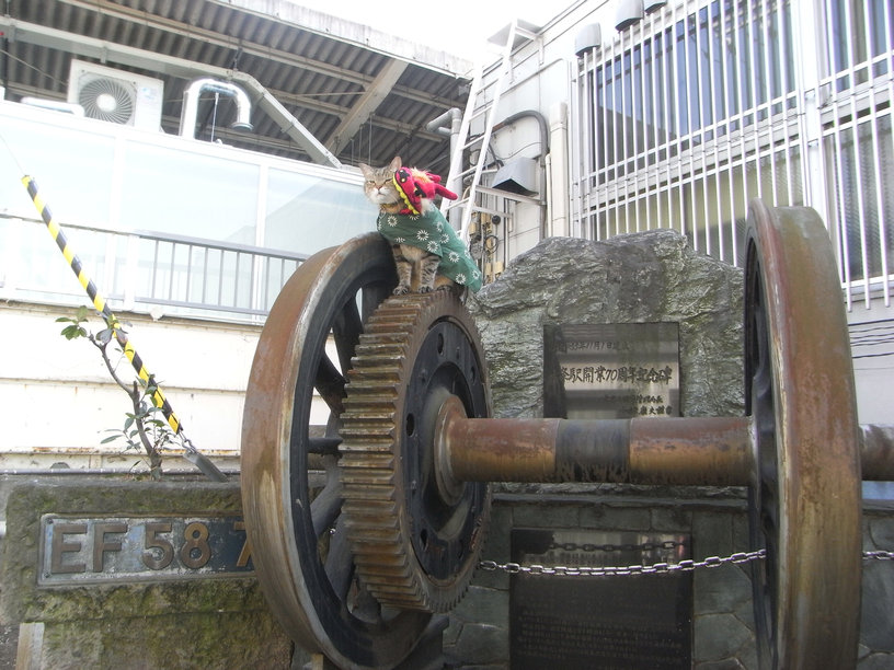 e0031605_17173962.jpg