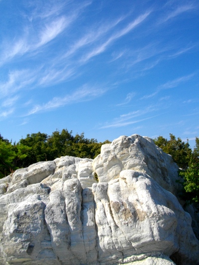 e0119017_1192593.jpg