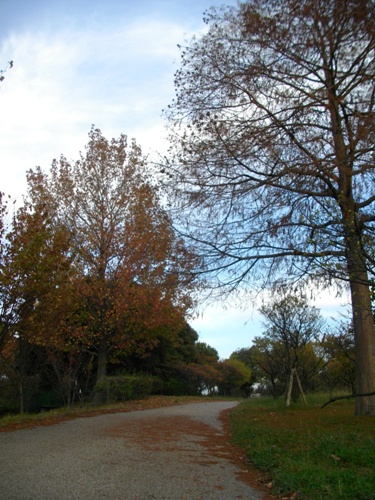 e0119017_225374.jpg