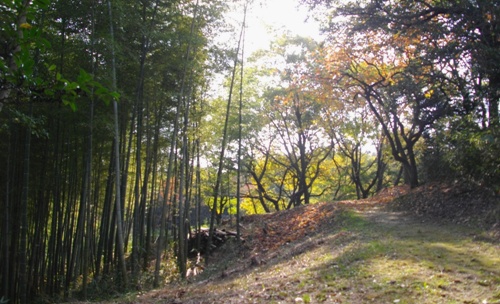 e0119017_274598.jpg