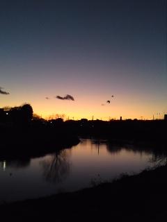 f0013519_1756639.jpg