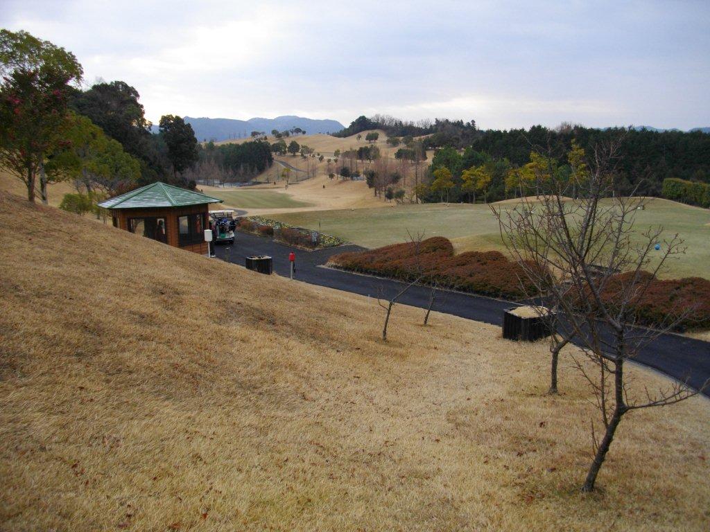e0069622_17291145.jpg