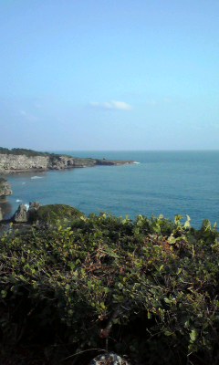 f0064432_2362995.jpg