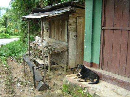 c0024135_20211022.jpg