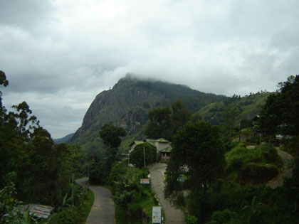 c0024135_202117.jpg